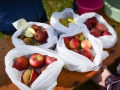 2014-10-12_Pfadfinder_31