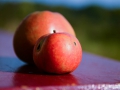 2014-10-12_Pfadfinder_62